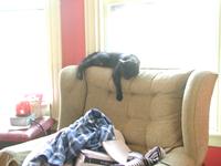 Kitty